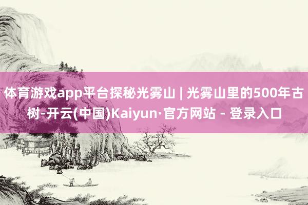 体育游戏app平台探秘光雾山 | 光雾山里的500年古树-开云(中国)Kaiyun·官方网站 - 登录入口