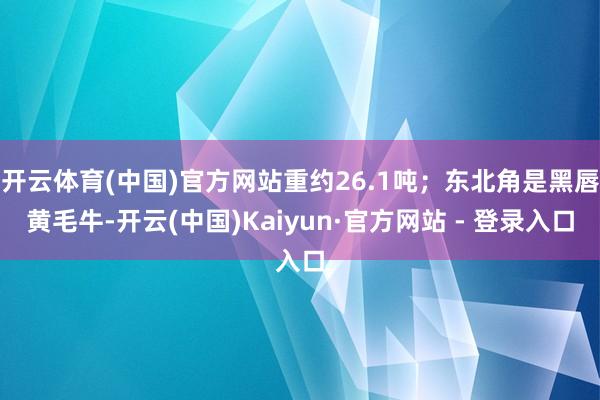 开云体育(中国)官方网站重约26.1吨；东北角是黑唇黄毛牛-开云(中国)Kaiyun·官方网站 - 登录入口