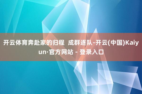 开云体育奔赴家的归程  成群逐队-开云(中国)Kaiyun·官方网站 - 登录入口