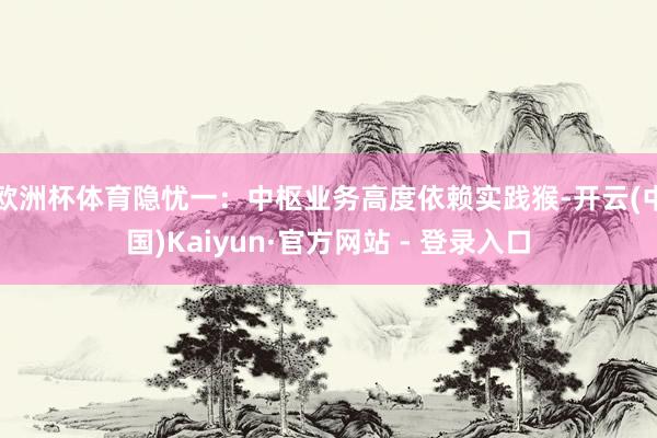 欧洲杯体育　　隐忧一：中枢业务高度依赖实践猴-开云(中国)Kaiyun·官方网站 - 登录入口