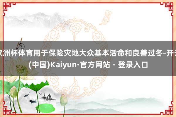 欧洲杯体育用于保险灾地大众基本活命和良善过冬-开云(中国)Kaiyun·官方网站 - 登录入口