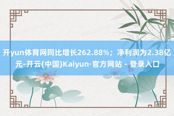 开yun体育网同比增长262.88%;净利润为2.38亿元-开云(中国)Kaiyun·官方网站 - 登录入口