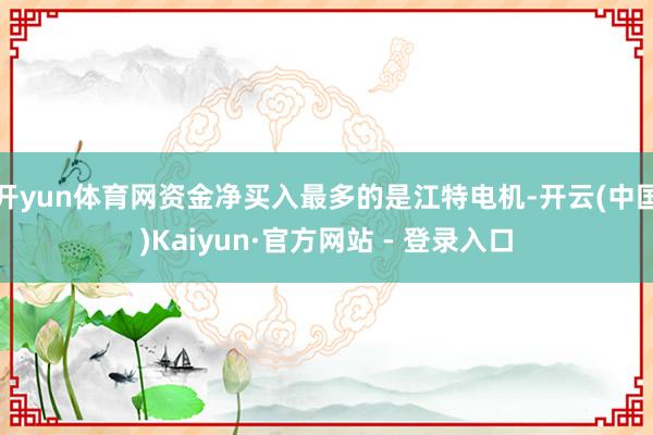 开yun体育网资金净买入最多的是江特电机-开云(中国)Kaiyun·官方网站 - 登录入口