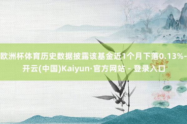 欧洲杯体育历史数据披露该基金近1个月下落0.13%-开云(中国)Kaiyun·官方网站 - 登录入口