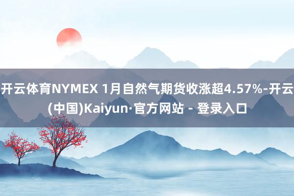 开云体育NYMEX 1月自然气期货收涨超4.57%-开云(中国)Kaiyun·官方网站 - 登录入口