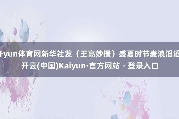 开yun体育网新华社发（王高妙摄）盛夏时节麦浪滔滔-开云(中国)Kaiyun·官方网站 - 登录入口