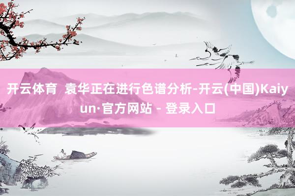 开云体育  袁华正在进行色谱分析-开云(中国)Kaiyun·官方网站 - 登录入口