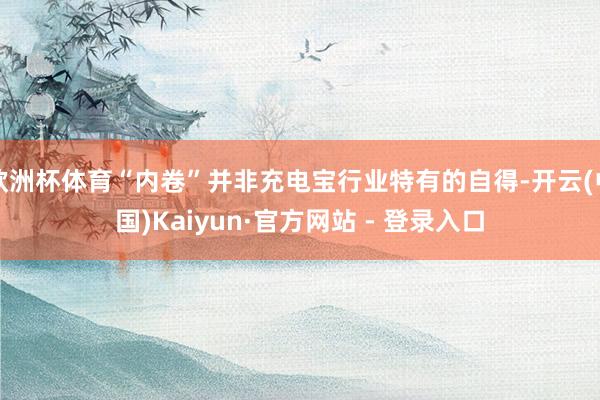 欧洲杯体育“内卷”并非充电宝行业特有的自得-开云(中国)Kaiyun·官方网站 - 登录入口