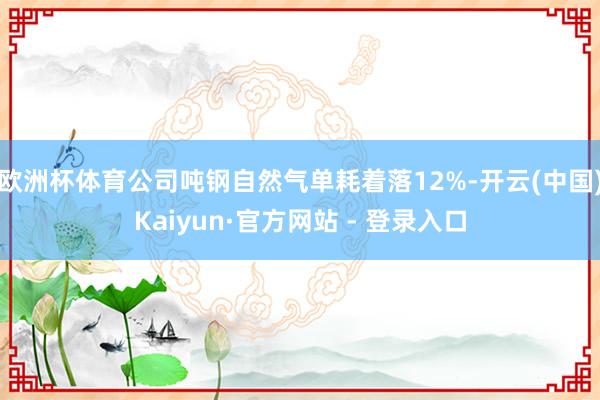 欧洲杯体育公司吨钢自然气单耗着落12%-开云(中国)Kaiyun·官方网站 - 登录入口