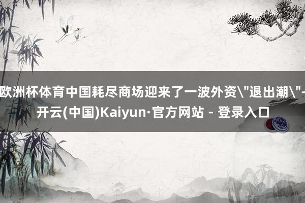 欧洲杯体育中国耗尽商场迎来了一波外资