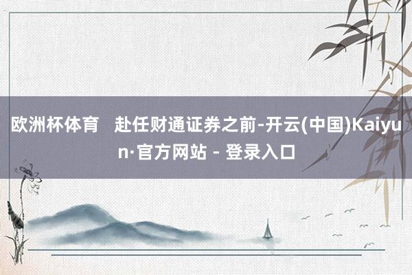 欧洲杯体育   赴任财通证券之前-开云(中国)Kaiyun·官方网站 - 登录入口